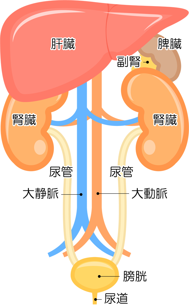 糖尿病の早期発見